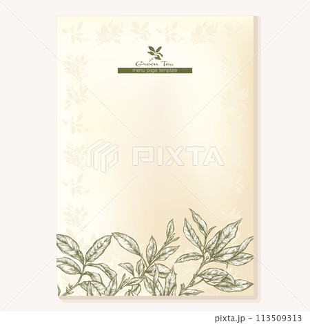 Green tea branch with leaves  113509313