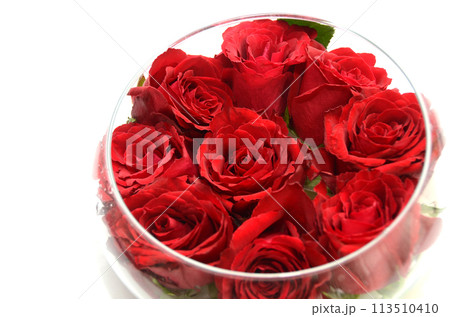真っ赤なバラの入ったガラス容器・白バック 113510410