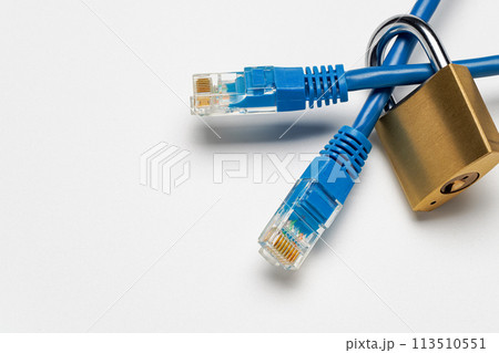ネットワークケーブルと南京錠 113510551
