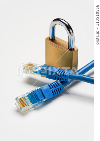 ネットワークケーブルと南京錠 113510556