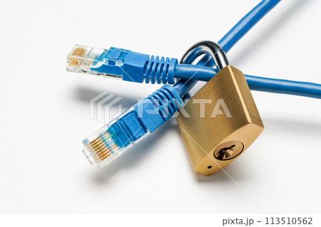 ネットワークケーブルと南京錠 113510562