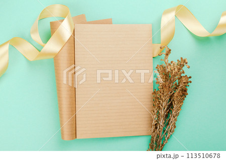 Blank card with ribbon Blank card with ribbon 113510678