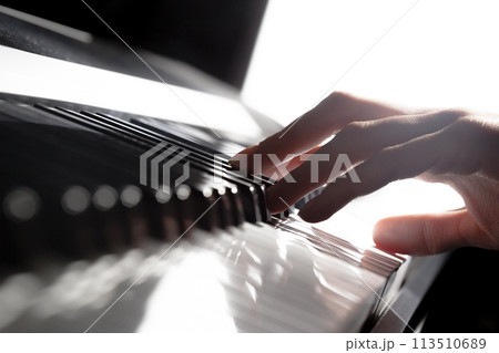 Playing Piano. close up 113510689