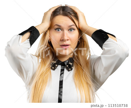 Business woman portrait Business woman portrait 113510738