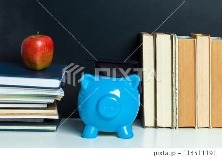 College graduate student diploma piggy bank 113511191
