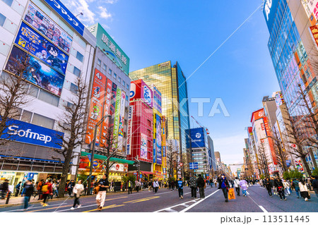 日本の東京都市景観 外国人観光客らで賑わう秋葉原の歩行者天国などを望む=18日 日本の東京都市景観 外国人観光客らで賑わう秋葉原の歩行者天国などを望む=18日 113511445