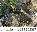 ハケの道の湧水 113511597