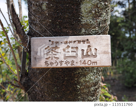 茶臼山（愛知県新城市） 113511760