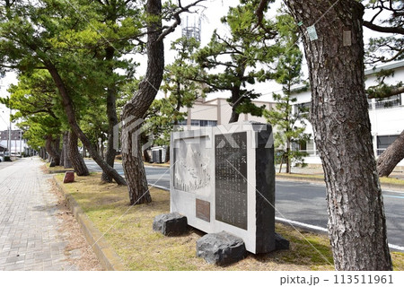 浜松市　旧東海道舞坂宿松並木と舞坂今切石碑 113511961
