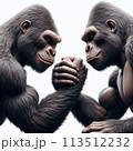 腕相撲をする2頭のゴリラ 113512232