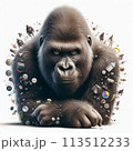 全てを司るゴリラ 113512233