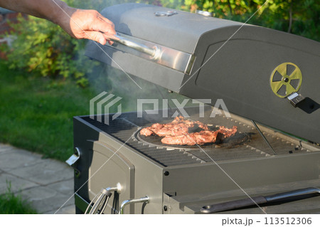 Grilled beef meat summer party Outdoors. Barbecue grill. Grilled beef meat summer party Outdoors. Barbecue grill. 113512306