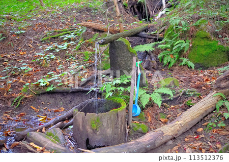 東北・遠野・続石・弁慶の昼寝場所のすぐ脇にある、山道歩きの疲れを癒やす湧水・岩手県遠野市 東北・遠野・続石・弁慶の昼寝場所のすぐ脇にある、山道歩きの疲れを癒やす湧水・岩手県遠野市 113512376