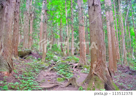 東北・遠野・続石・山道を進むと最初に見えてくる弁慶の昼寝場所とベンチ・岩手県遠野市 113512378
