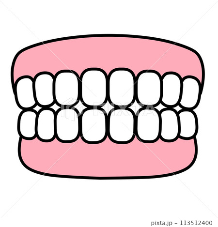 シンプルな歯列模型のイラスト シンプルな歯列模型のイラスト 113512400