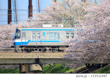 瑞梅寺川の桜と福岡市交通局2000系電車（福岡市営地下鉄） 113512487