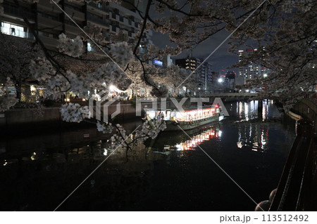大岡川の桜_2024年04月07日_1 113512492