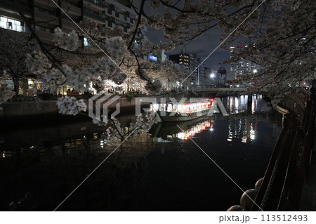 大岡川の桜_2024年04月07日_2 大岡川の桜_2024年04月07日_2 113512493