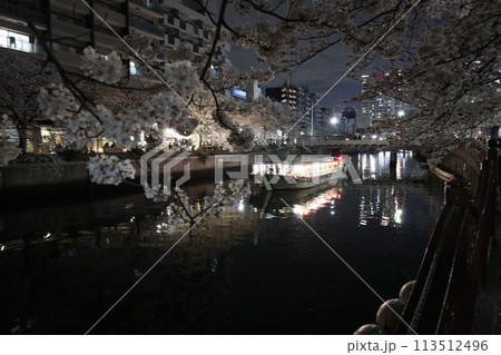 大岡川の桜_2024年04月07日_4 大岡川の桜_2024年04月07日_4 113512496