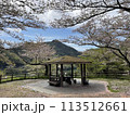ダム近くの公園と桜 113512661