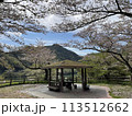 ダム近くの公園と桜 113512662