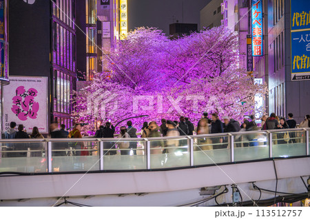 日本の東京都市景観 渋谷サクラステージSHIBUYAタワー前のさくら坂で、桜が満開に＝4月5日 113512757