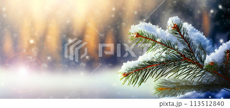 Closeup of a Pine Twig with Snow and Copy Space - Generative Ai 113512840