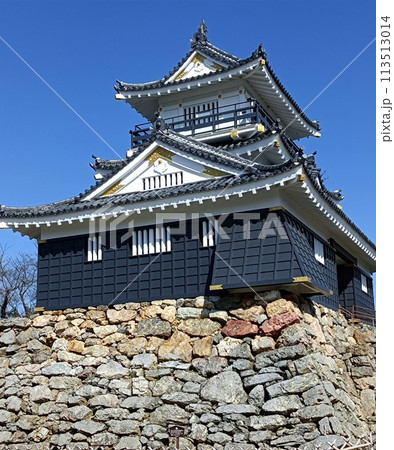 浜松城 113513014