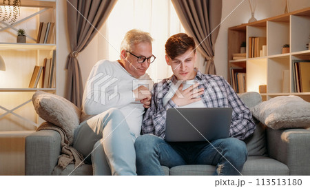 Internet leisure. Family generation. Online research. Happy inspired father and son surfing on laptop together home room interior. 113513180