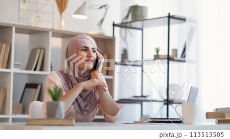 Cellphone talk. Business call. Happy woman manager speaking on phone enjoying mobile corporate communication at home office desktop copy space. 113513505