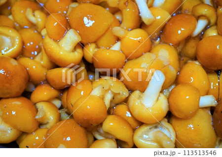 なめこ ナメコ ぬめり 山形産 なめこ ナメコ ぬめり 山形産 113513546