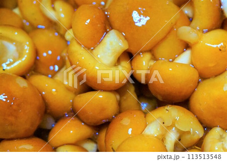 なめこ　ナメコ　ぬめり　山形産 113513548