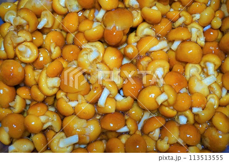 なめこ　ナメコ　ぬめり　山形産 113513555