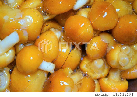 なめこ　ナメコ　ぬめり　山形産 113513571