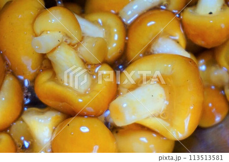 なめこ　ナメコ　ぬめり　山形産 113513581