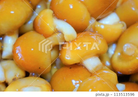 なめこ　ナメコ　ぬめり　山形産 113513596