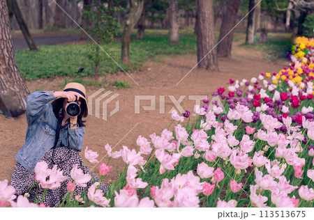 森林公園の花を撮影する女性 113513675