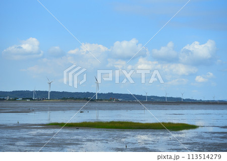 湿原 湿地 沼地 113514279