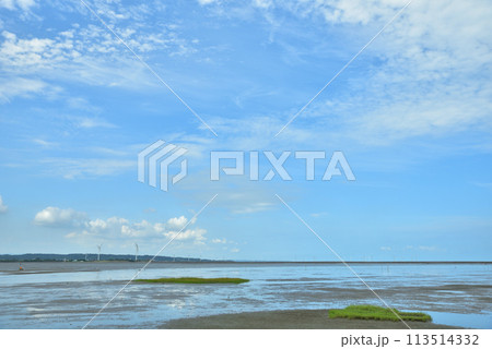 湿原 湿地 沼地 113514332