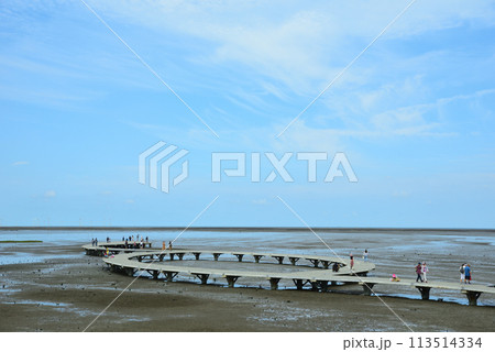 湿原 湿地 沼地 113514334