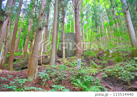 東北・遠野・続石・弁慶が巨石を載せようとして一晩泣き続けたと伝わる巨石、泣き石・岩手県遠野市(5) 東北・遠野・続石・弁慶が巨石を載せようとして一晩泣き続けたと伝わる巨石、泣き石・岩手県遠野市(5) 113514440