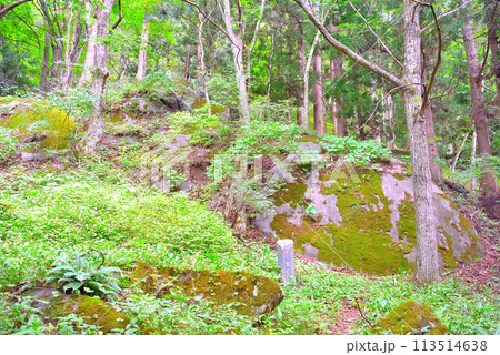 東北・遠野・続石・続石の下にある巨大な岩、不動岩・岩手県遠野市(1) 113514638