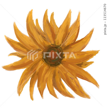 Sunflower oil painting impressionism brush vincent van gogh style summer flower illustration art Sunflower oil painting impressionism brush vincent van gogh style summer flower illustration art 113514670