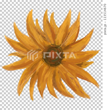 Sunflower oil painting impressionism brush vincent van gogh style summer flower illustration art Sunflower oil painting impressionism brush vincent van gogh style summer flower illustration art 113514670