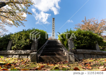 【庄内の風景】鶴岡公園と紅葉（山形県） 113514838