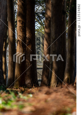 【庄内の風景】八幡公園(庄内町余目) 【庄内の風景】八幡公園(庄内町余目) 113514892