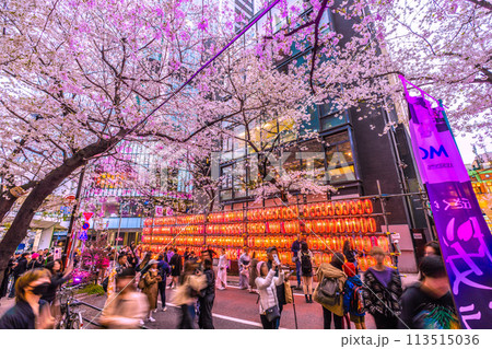 日本の東京都市景観 渋谷サクラステージSHIBUYAタワー前のさくら坂で、桜が満開に＝4月5日 113515036