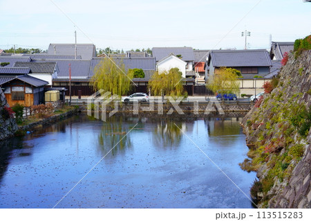 岸和田/紀州街道の街並み(大阪府岸和田市) 岸和田/紀州街道の街並み(大阪府岸和田市) 113515283