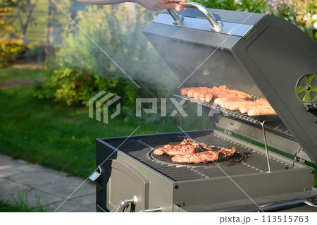 Grilled beef meat summer party Outdoors. Barbecue grill. Grilled beef meat summer party Outdoors. Barbecue grill. 113515763