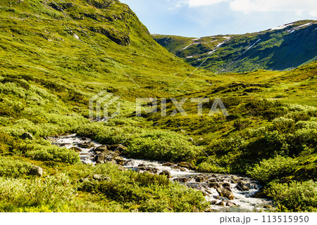 River stream in mountains, Norway. 113515950